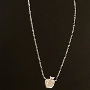 Elegant Silver Apple Pendant 18” Necklace